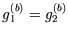 $g_1^{(b)}=g_2^{(b)}$