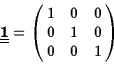 \begin{displaymath}\underline{\underline{\bf 1}}=\pmatrix{1&0&0\cr 0&1&0\cr 0&0&1}\end{displaymath}