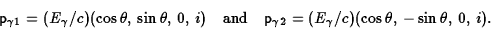 \begin{displaymath}{\sf p}_{\gamma 1}=(E_\gamma/c)(\cos\theta,\,\sin\theta,\,0,\...
... p}_{\gamma 2}=(E_\gamma/c)
(\cos\theta,\,-\sin\theta,\,0,\,i).\end{displaymath}